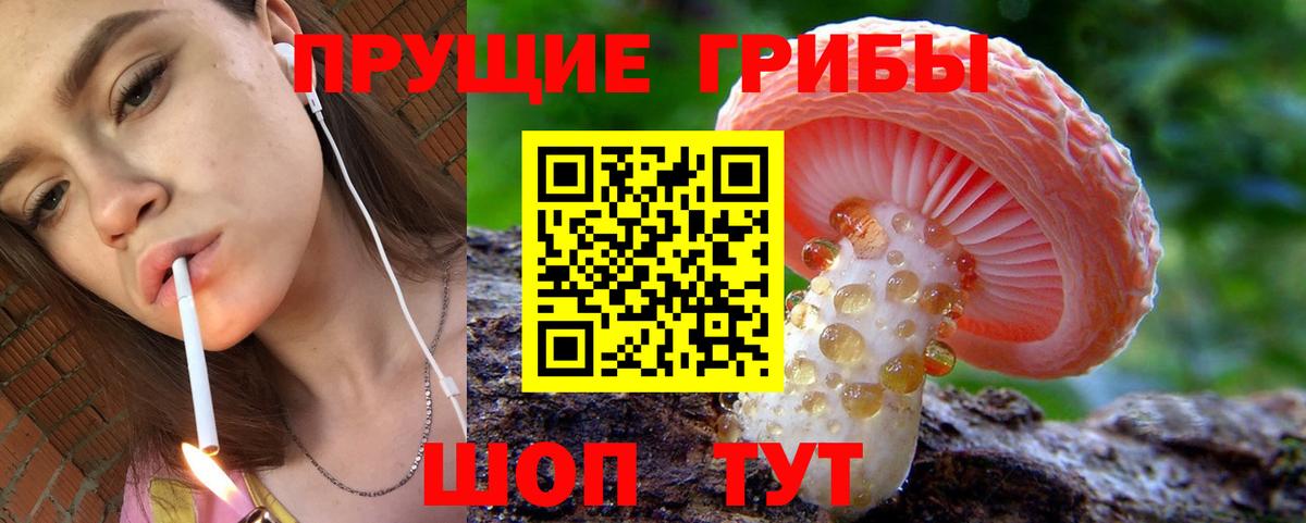 Волгоград  Псилоцибиновые грибы MAGIC MUSHROOMS  Галлюциногенные грибы Psilocybine cubensis  Вход с VPN 