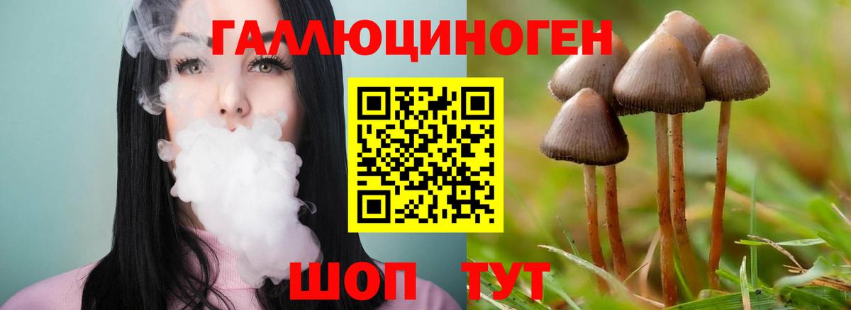Псилоцибиновые грибы мухоморы Волгоград