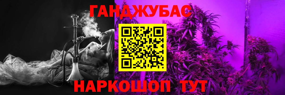 Бошки Шишки план Волгоград